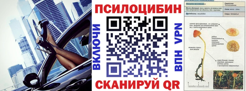 Псилоцибиновые грибы Psilocybine cubensis как найти закладки Гагарин